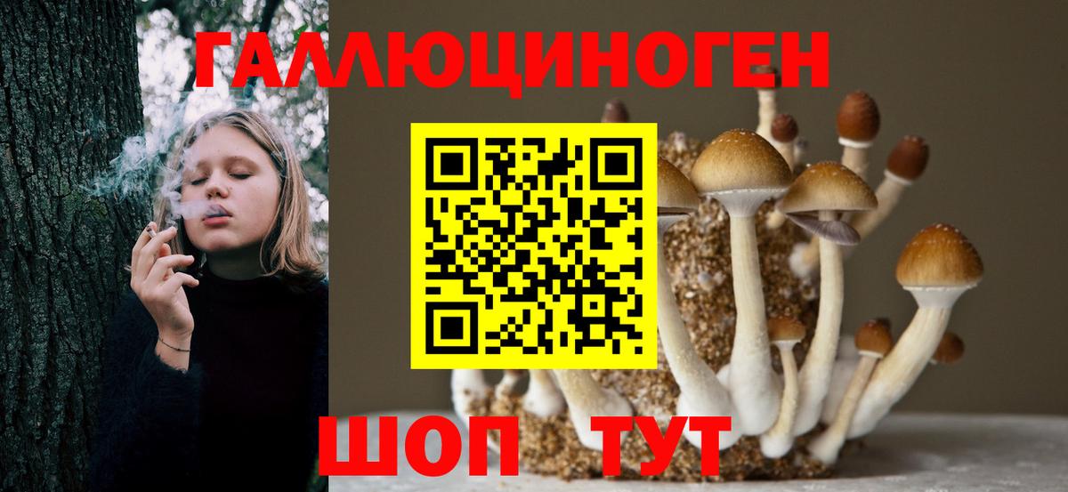 Галлюциногенные грибы мицелий  Галлюциногенные грибы MAGIC MUSHROOMS  Вход с VPN  Мурино 